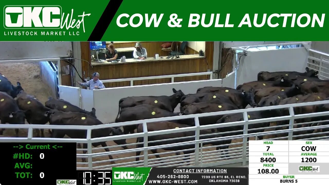 9/25/2023 - OKC West Weekly Cow & Bull Auction