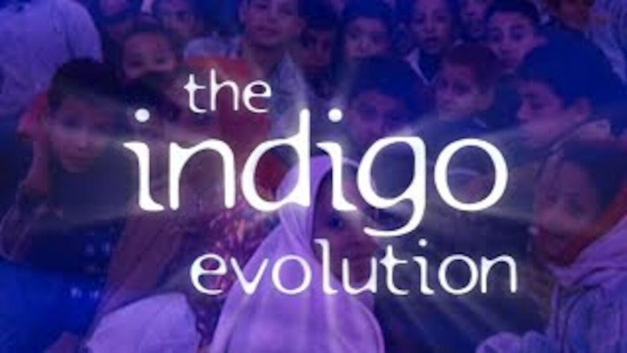 The Indigo Evolution