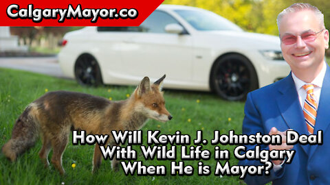 How Will You Deal WIth Wild Life In The City of Calgary - Kevin J Johnston