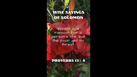 Proverbs 13:8 | Wise Sayings of Solomon