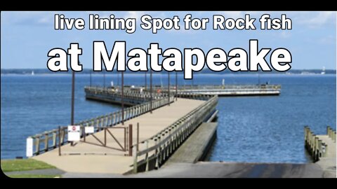 Live Lining Spot at Matapeake Fishing Pier #matapeake #rockfish #kentislandmaryland