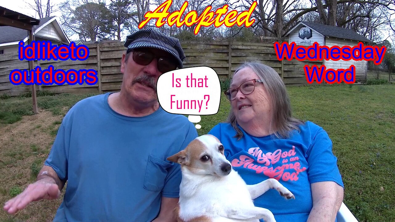 Wednesday Word - Adoption