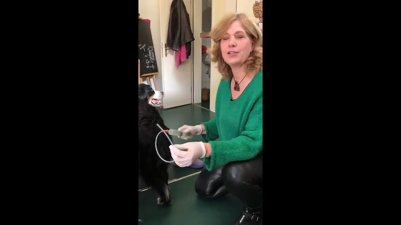 ENEMAS DE DIOXIDO DE CLORO PARA PERROS