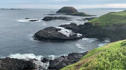 Phillip Island Boardwalk