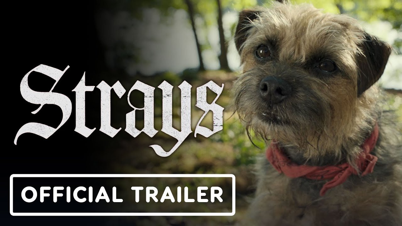 Strays - Official Red Band Trailer #2