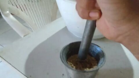 como deixar a ração ideal para os pintinhos