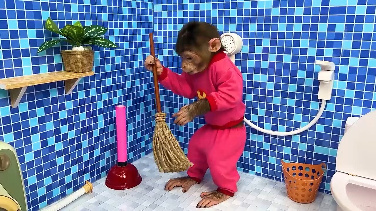 Baby Monkey Bu Bu has a problem in the toilet and eat fruit in the park