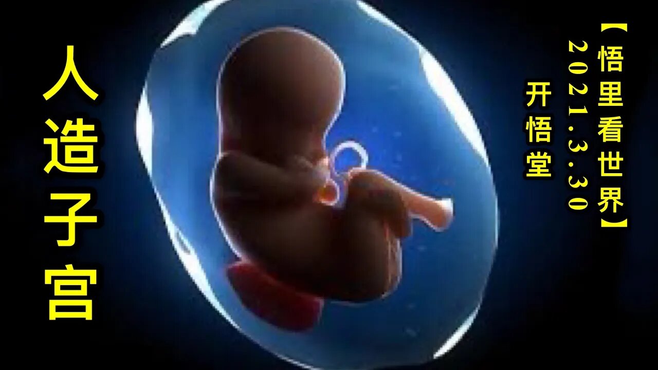 KWT1411人造子宫20210330-7【悟里看世界】