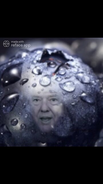 Donald Trump Blueberry Meme! 🫐