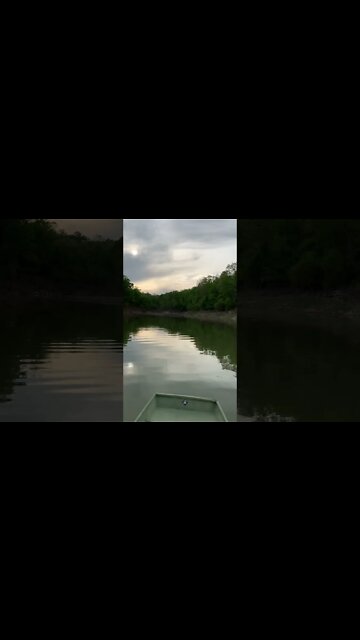 #shorts #Ozark floods bring muddy water