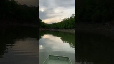 #shorts #Ozark floods bring muddy water