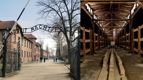 2022.02.20-Eliseo.Bonanno-AUSCHWITZ CHE SIGNIFICA??