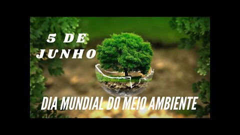 05 DE JUNHO: DIA MUNDIAL DO MEIO AMBIENTE.#shorts CC