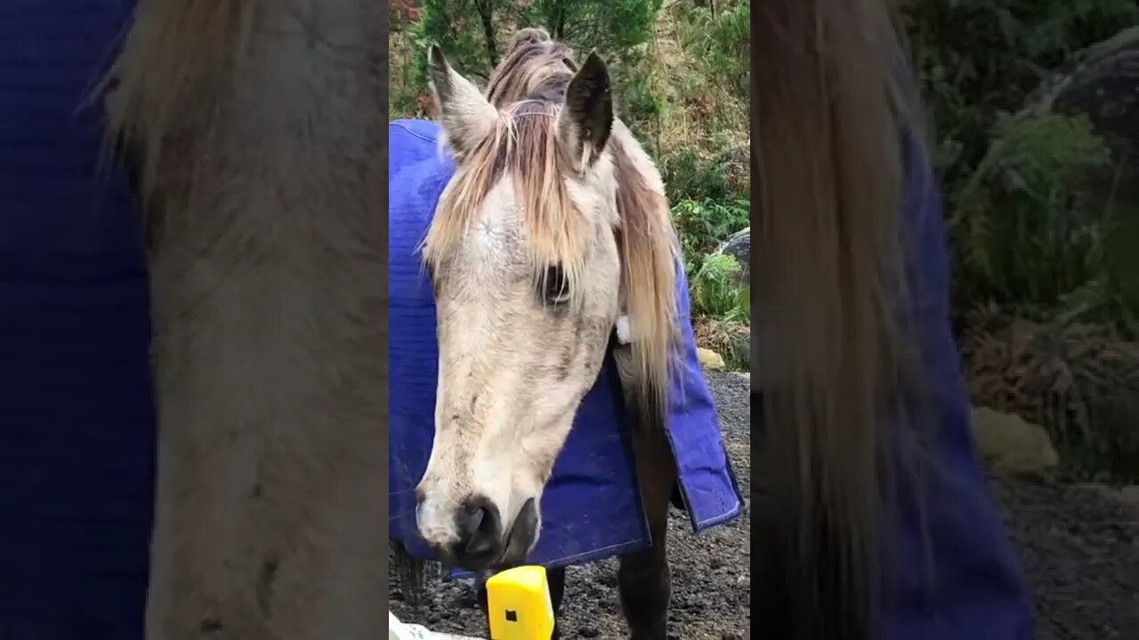 Arthur’s friend Penny died. Does he look sad?