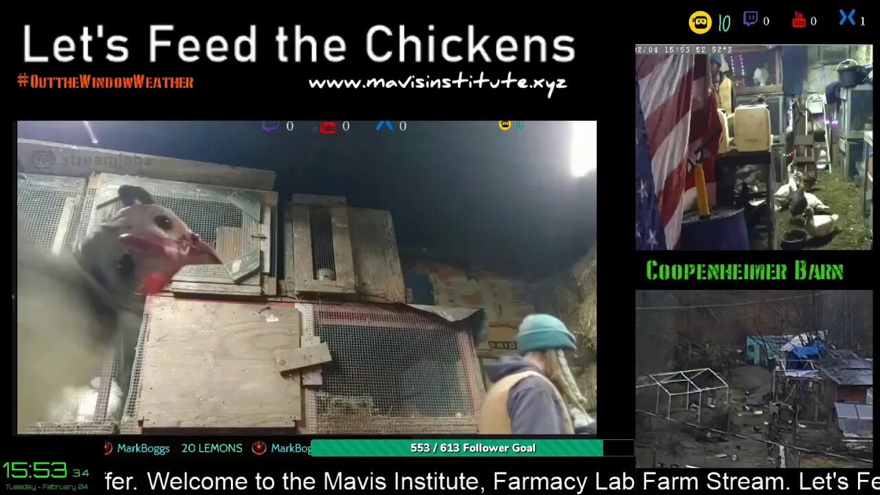 Shadow App, Virus Update and EMF : Let's Feed the Chickens : Ep 46 :