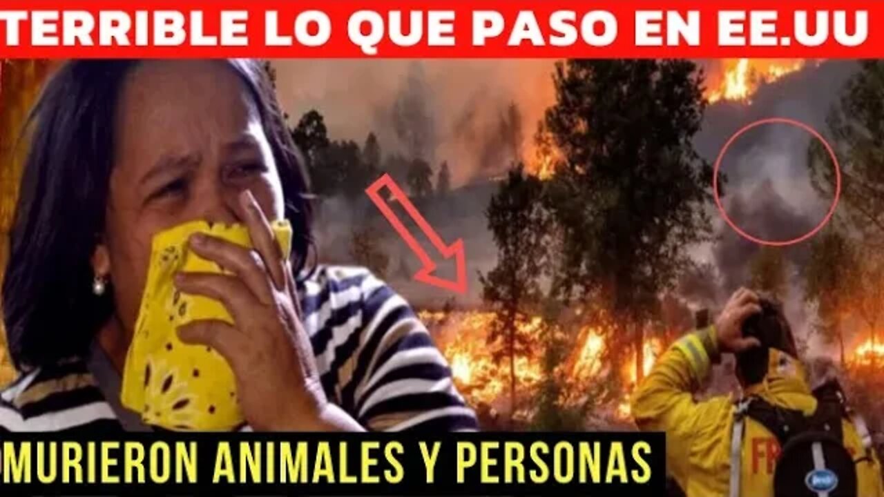 DE TERROR ANIMALES DESESPERADOS TODO ESTÁ BAJO EL FUEGO ULTIMAS NOTICIAS ALERTA⚡️MUNDIAL 16.06.2022