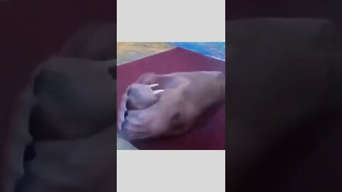 A fitness freak 🧜🏋️‍♂️💪