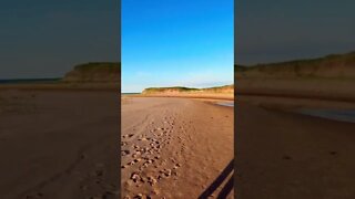 Golden hour at the beach