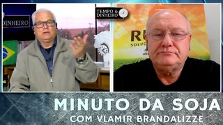 Soja se protegendo frente ao clima nos EUA