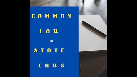 Language of the law and four corner of complaint- (Terry Stop and Reasonable Sus)