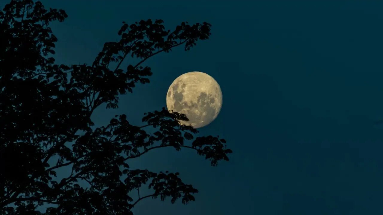 MUSIC FOR RELAXATION, GUITAR MUSIC RELAX, SLEEP SONGS.