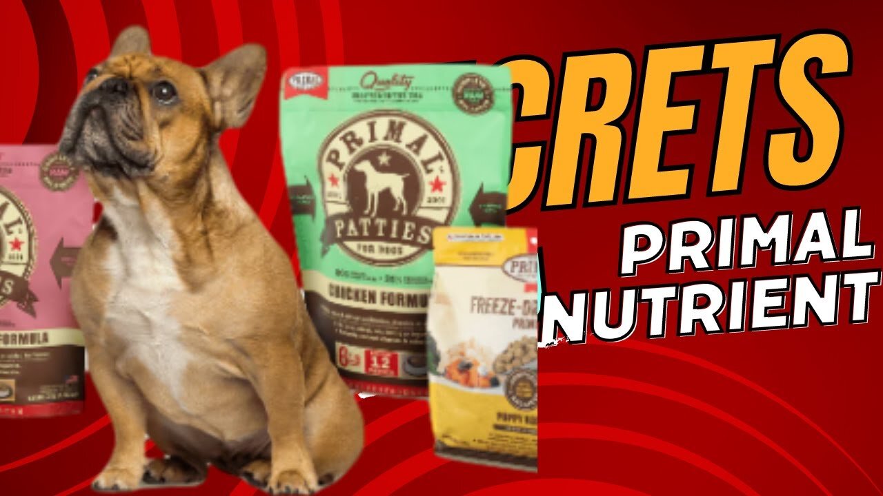 Ranking Your Dog's FOOD! 🤔 Nutritionist's Dog Food Guide Ultrak9 Pro ⚠️ CAUTION Primal Nutrients