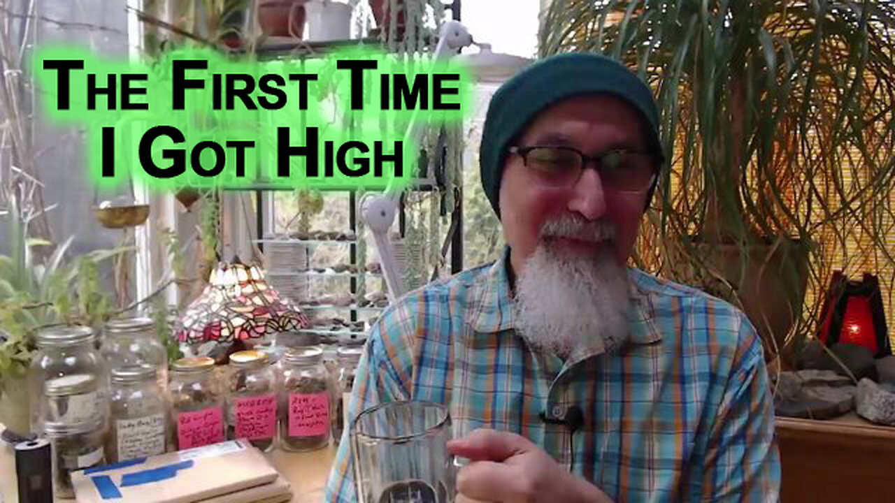 The First Time I Got High: Happy 420 Trip Reports