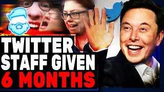 Elon Musk Only Gives Twitter Staff 6 Months As They RAGE & Openly Rebel Against Their New Owner!