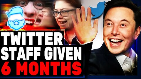 Elon Musk Only Gives Twitter Staff 6 Months As They RAGE & Openly Rebel Against Their New Owner!