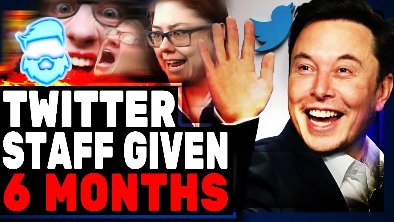 Elon Musk Only Gives Twitter Staff 6 Months As They RAGE & Openly Rebel Against Their New Owner!
