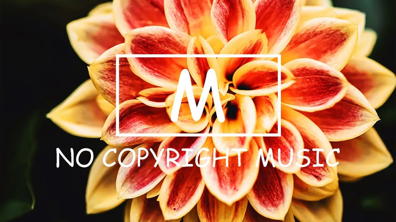x50 & Alan Skindro - Dance With Me(Mm No Copyright Music)