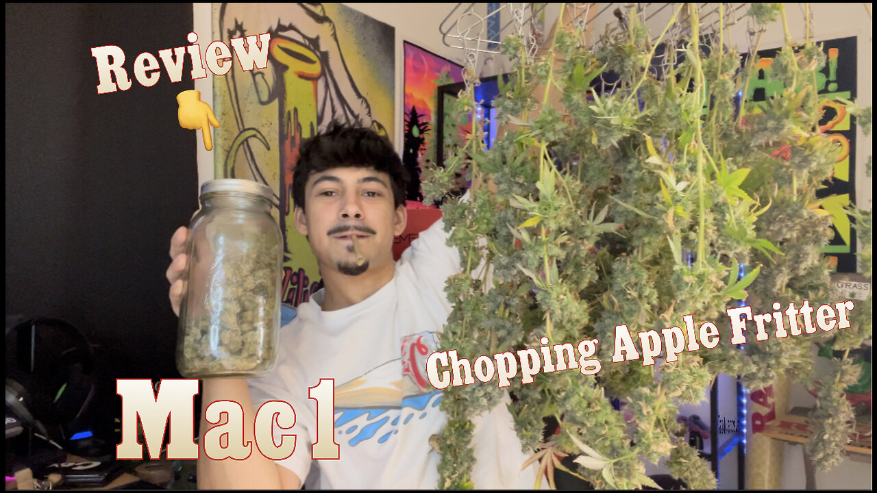 Topsm0ker420: DaytoDay S01EP05 !!!!!! Chopping Apple Fritter & Mac1 Review !!!!