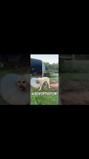 How good is the reception? #shorts