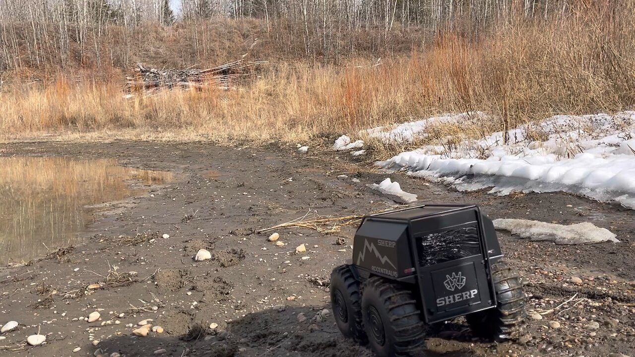 Rc sherp playing in the mud water