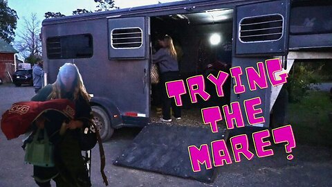 Trying The Mare?