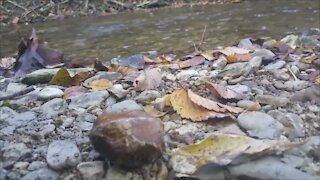 Kick In A Stream