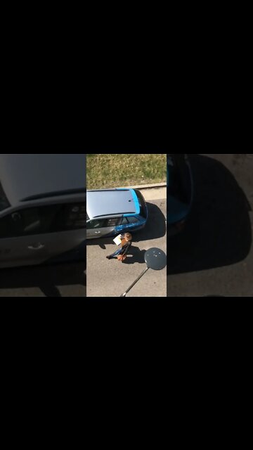 #shorts #2022 funny,prank,funjokes,dad jokes,funny memes,funny video,fun,laughing,funny animal,knock