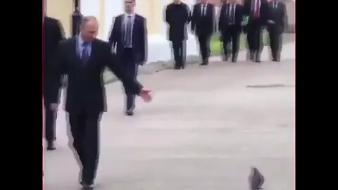 Pombo da tchau ao Putin