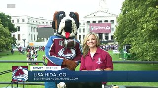 Bernie answers Lisa Hidalgo's burning questions