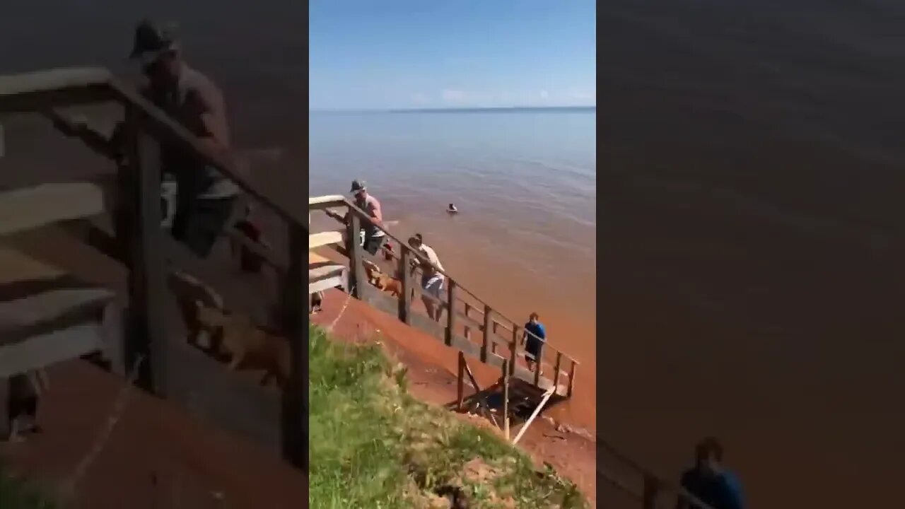 Canoe Cove down by the water