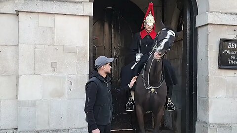 Grabbing the Reins #horseguardsparade
