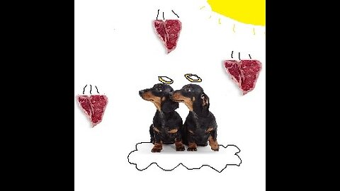 PART 3 dogs - narcs acquire pets so they can take them away narcissism