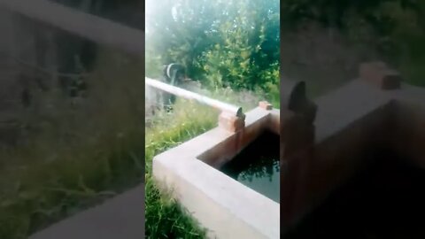 کیا پتا یہ سادہ زندگی بھی جلد ماضی کی داستان بن جائے گی ۔۔Village Life #shorts #villagelifevlogs