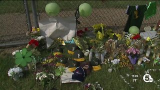 17YO Killed - I Promise School Lot - Arrests Made