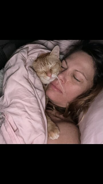 my love mine all mine