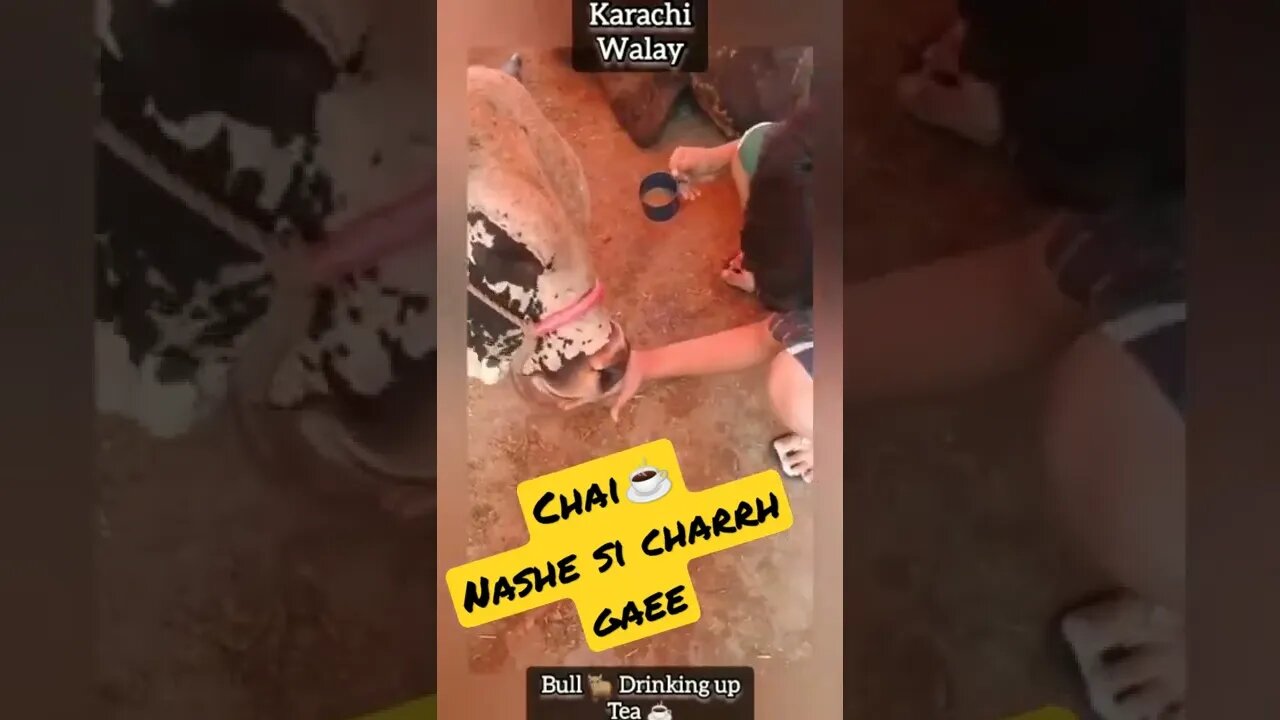 Chai Nashe Si Charrh Gaee ‎#AisAll #Subscribe, #Like, #Comment & #Share my #YouTubeChannel #AisAll