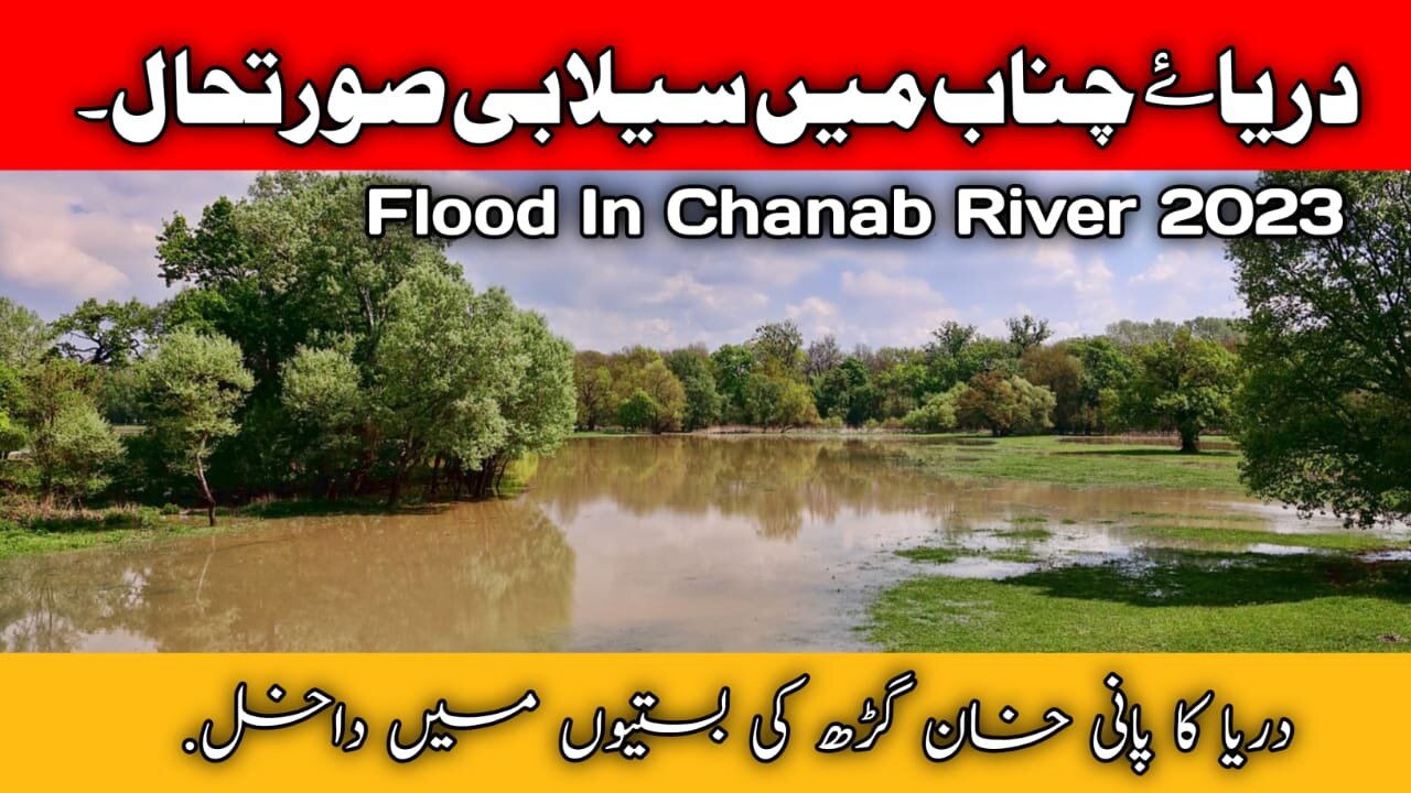 Flood In Punjab