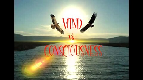 Mind vs Consciousness