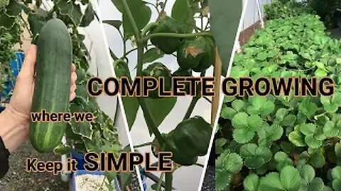 Grow your own Food the EASY Way