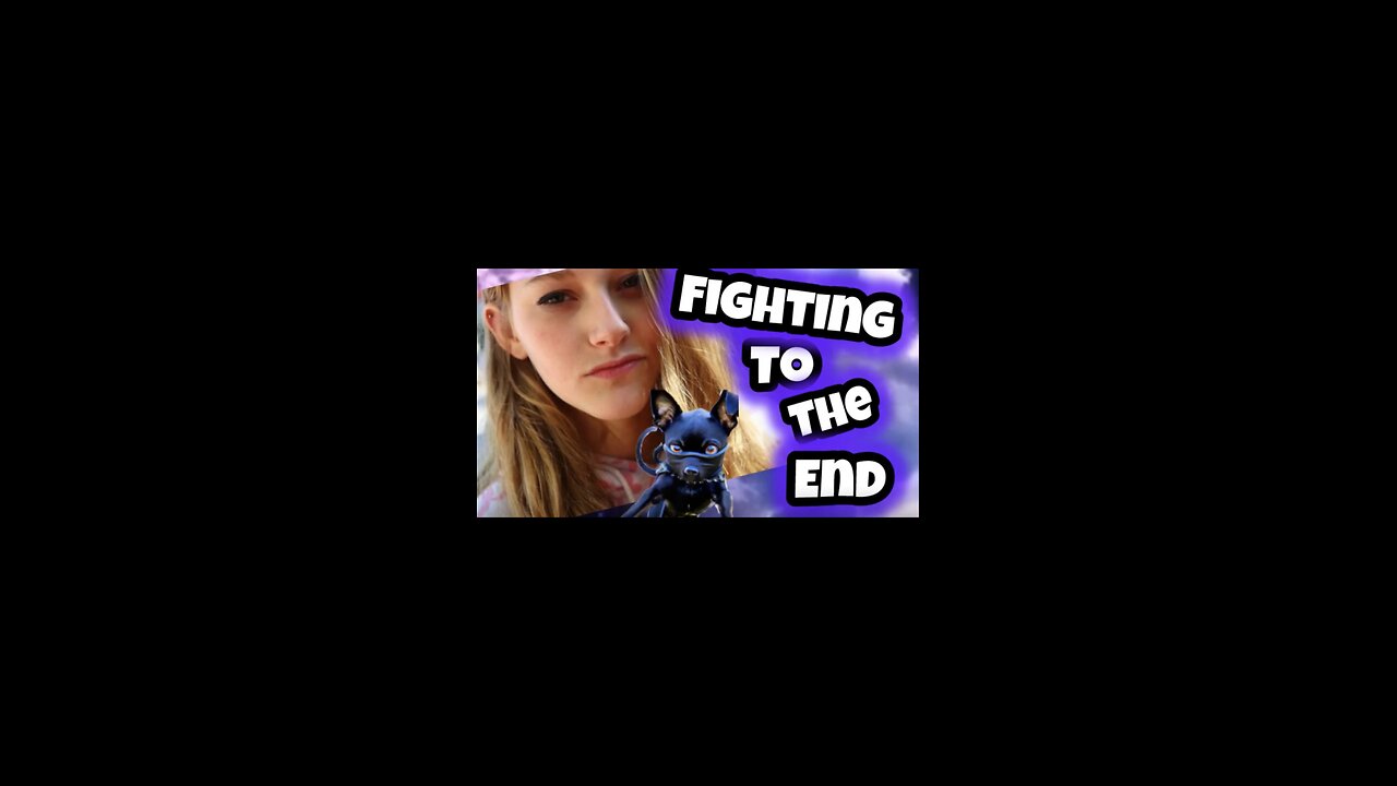 Still in the Fight
